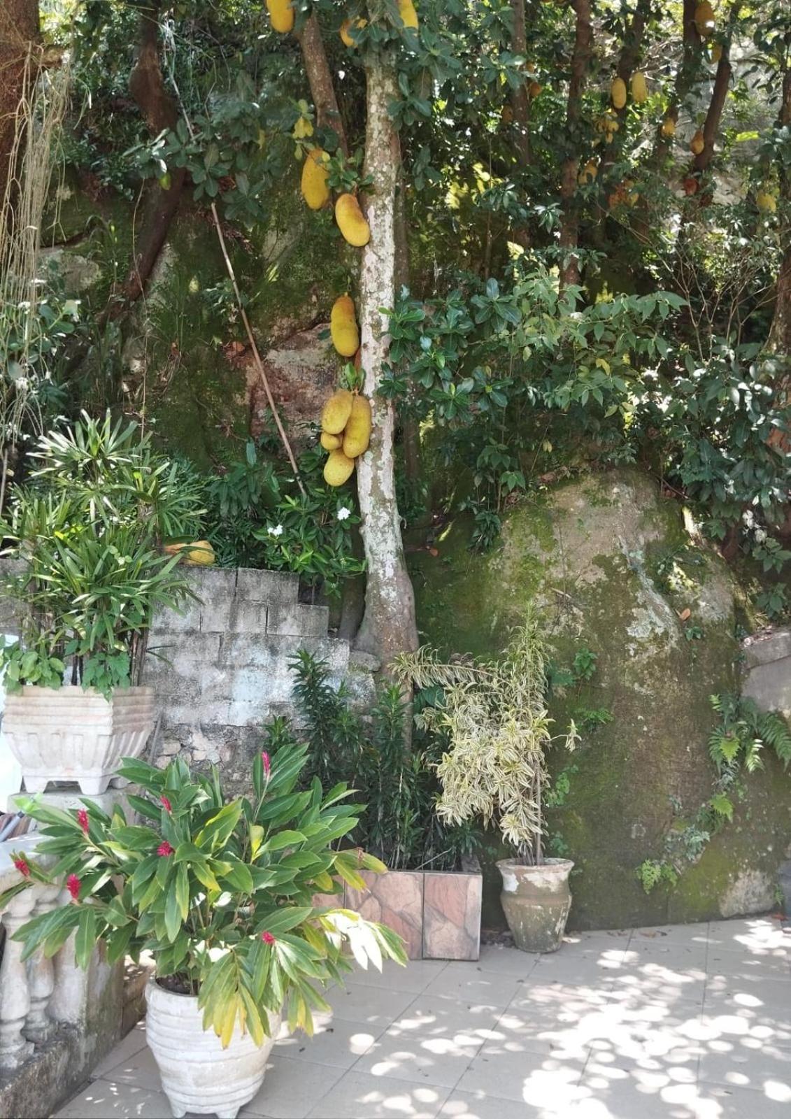Casa Das Luzes Hostel Ivn Rio de Janeiro Esterno foto